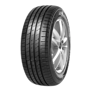 PNEU 255/50 R19 107V MINERVA ECOWIN
